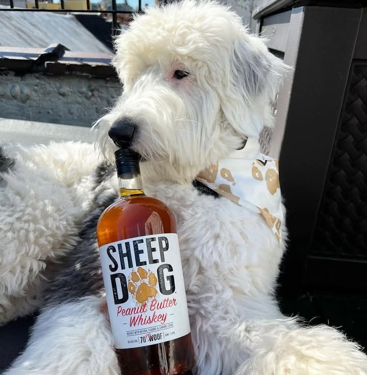 Featured image for “Sheep Dog 700ml Special: Reward Yourself at Eagle Tavern (exit 34)”